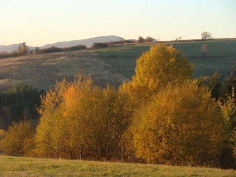 1_Cergowa_o_zachodzie_slonca