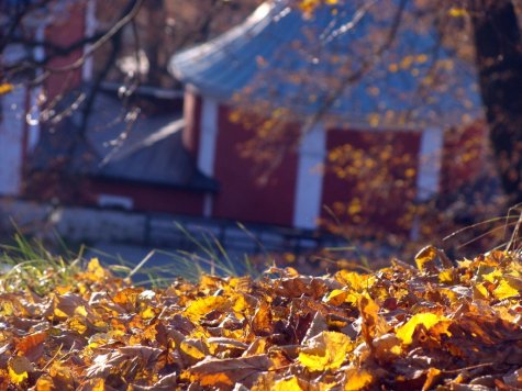 Banska_Szczawnica_jesien_na_zboczach_Kalwarii