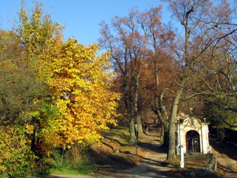 Banska_Szczwanica_jesien_pod_Kalwaria