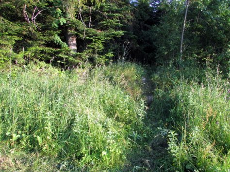 Baza_namiotowa_Madejowe_loze_szlak_bazowy_2