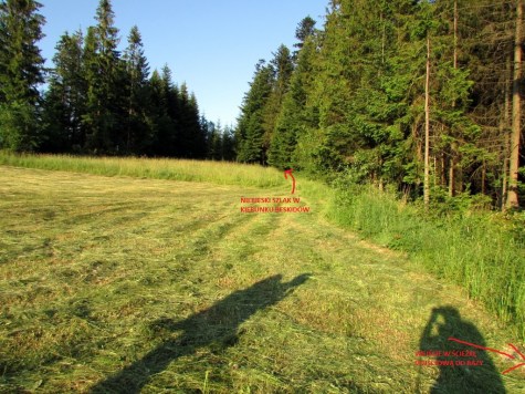 Baza_namiotowa_Madejowe_loze_szlak_bazowy_3