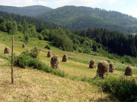 Beskid_Zywiecki_okolice_Zapolanki