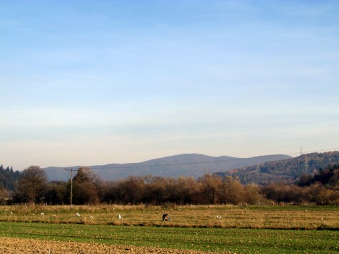 Cergowa_z_okolic_Tylawy