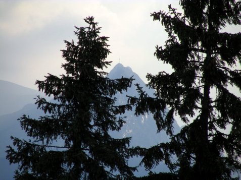 Giewont_zza_drzew_widok_z_Glodowki