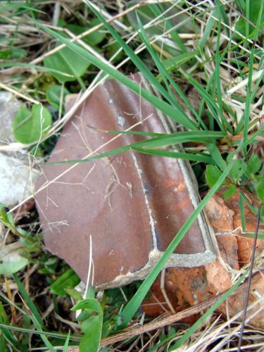 Hala_Izerska_Gross_Iser_detal_11