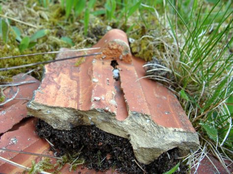 Hala_Izerska_Gross_Iser_detal_7