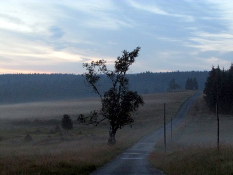 Hala_Izerska_mgly_10