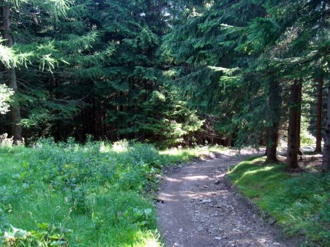 Karkonosze_Budniki_droga