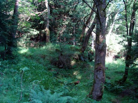 Karkonosze_Budniki_pozostalosci_osady_11