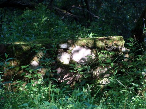 Karkonosze_Budniki_pozostalosci_osady_3