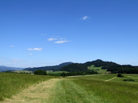 Majerz_widok_w_kierunku_Pienin