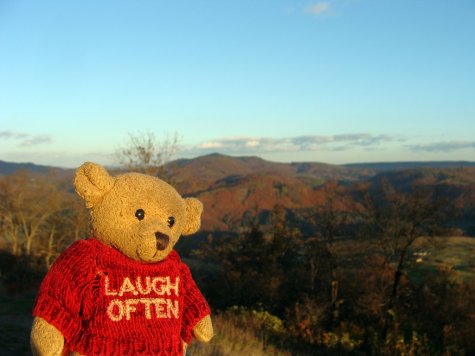 Mis_w_Szczawnickich_Wierchach