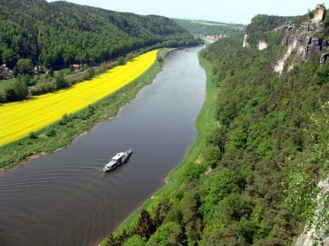 Saska_Szwajcaria_Laba_rzepak_2