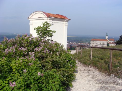 Svaty_Kopecek_bzy_kapliczka_i_zamek_w_Mukulovie1