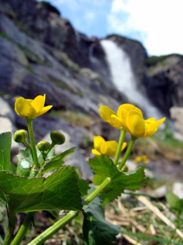 Tatry_Slowackie_wodospad_Skok