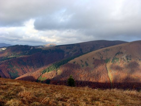 Wielka_Fatra_jesien_14