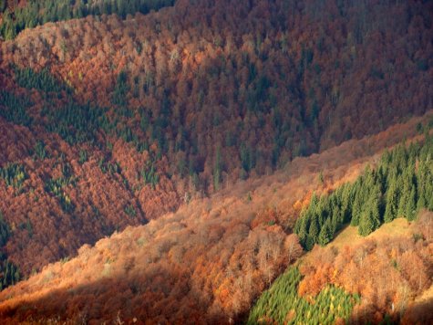 Wielka_Fatra_jesien_15