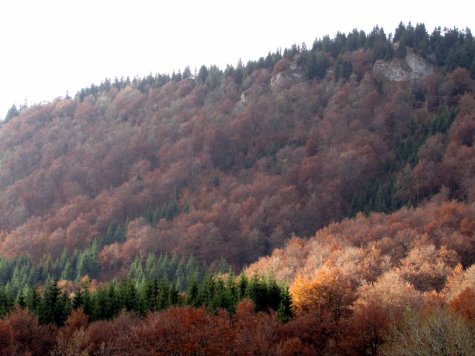 Wielka_Fatra_jesien_3